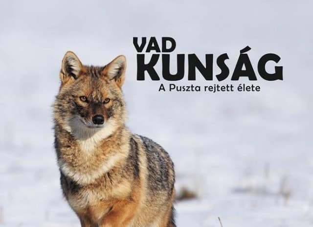 Vad Kunság – A Puszta rejtett élete