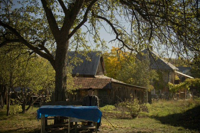 Szerelempatak – Világvevő Fesztivál