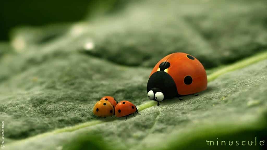 Csodabogarak – Az elveszett hangyák völgye
