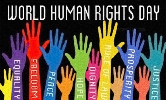 „A mi verziónk” – Szubjektív filmajánló az Emberi Jogok Világnapján