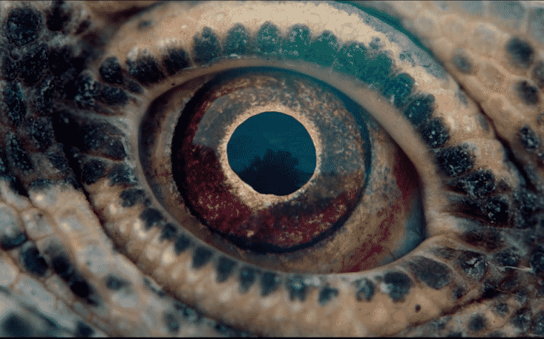 Voyage of Time: Life’s Journey