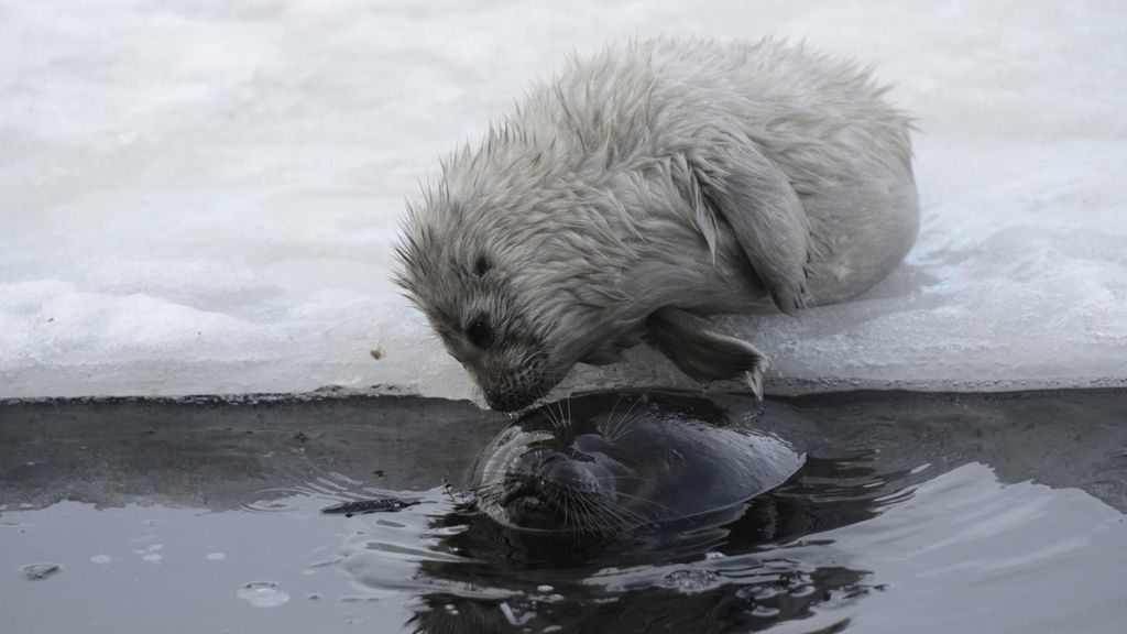 Tale of a Lake