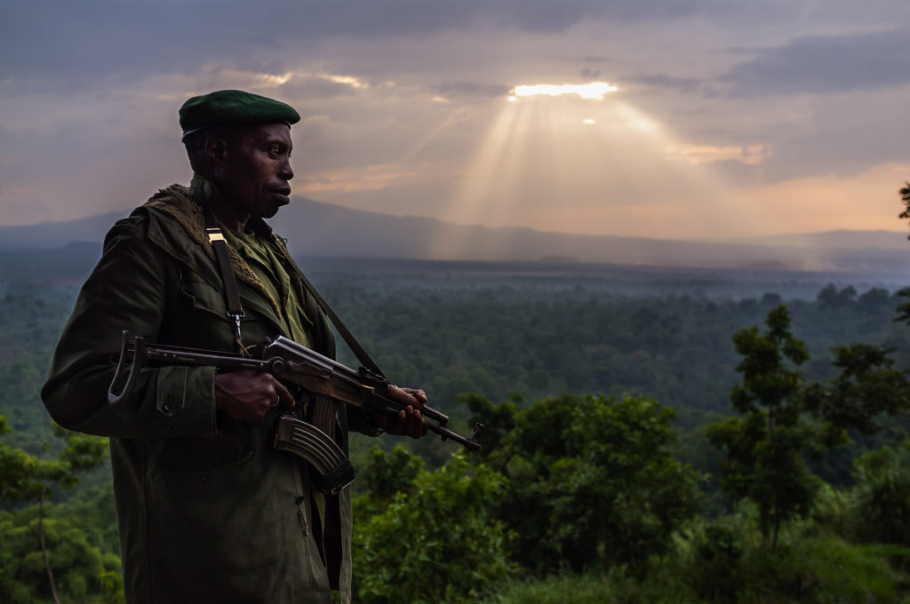 Virunga / BIDF