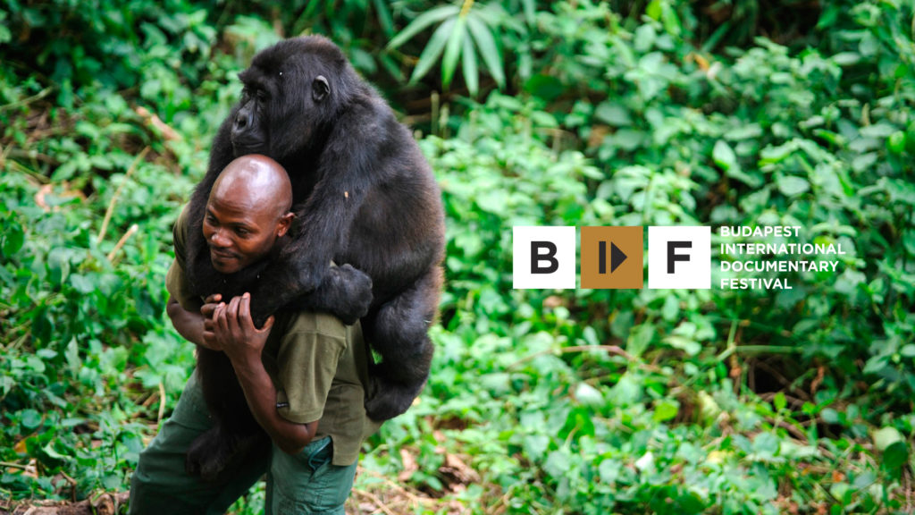 Budapest International Documentary Festival