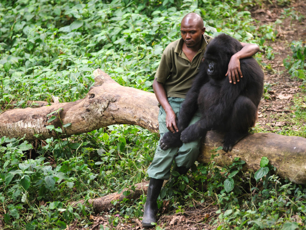 Virunga