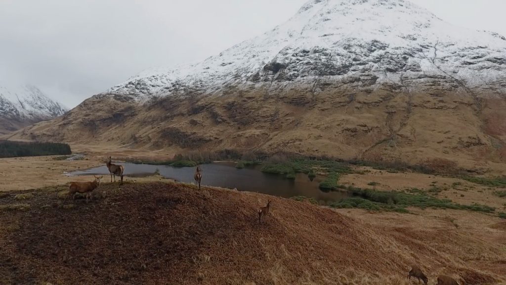 Scotland, in search of the wild