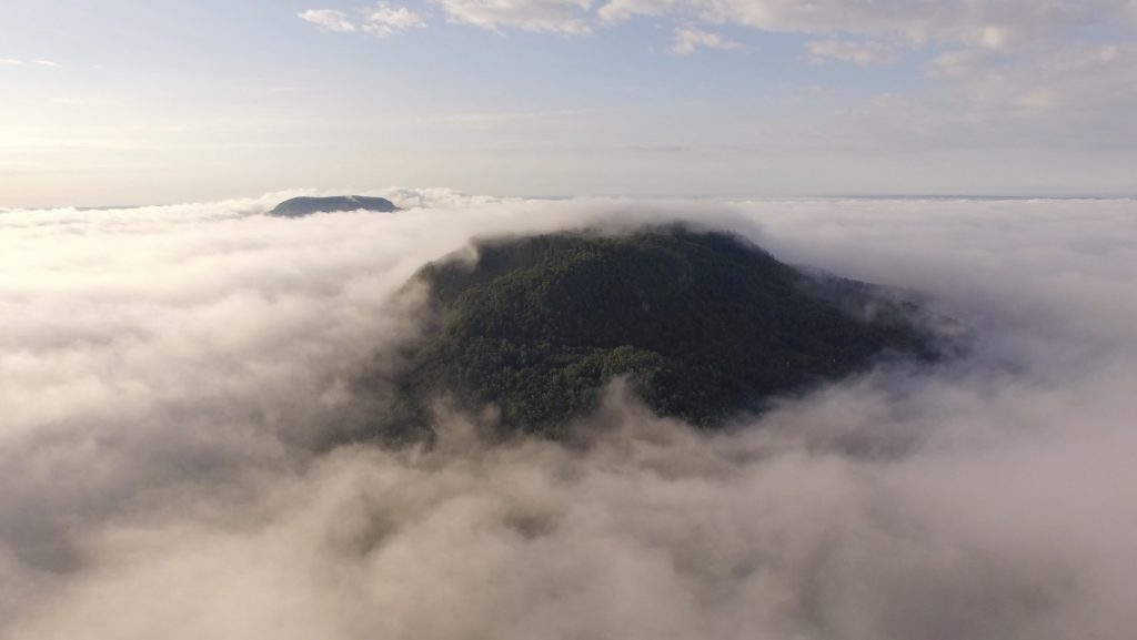 World without insects / Volcanoes of the Carpathian Basin