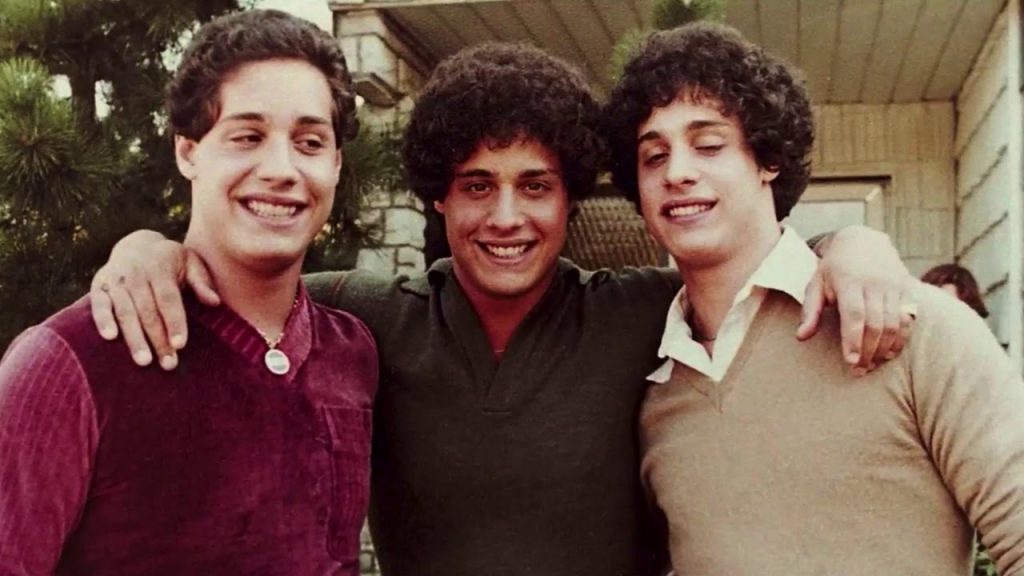 Three Identical Strangers