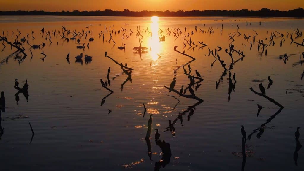 Tisza-tó, az ember alkotta paradicsom