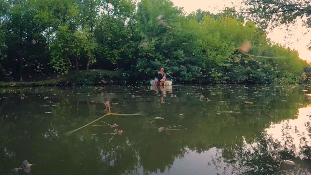 Tisza-tó, az ember alkotta paradicsom