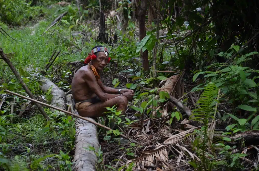Mentawai – Souls of the Forest