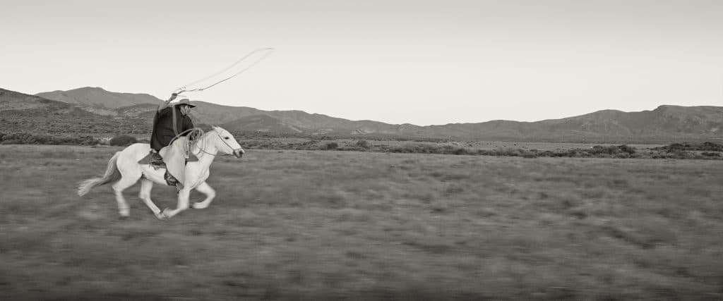 Gaucho Gaucho