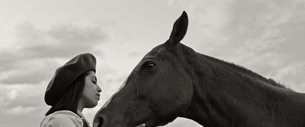 Gaucho Gaucho