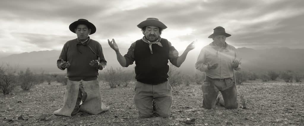 Gaucho Gaucho
