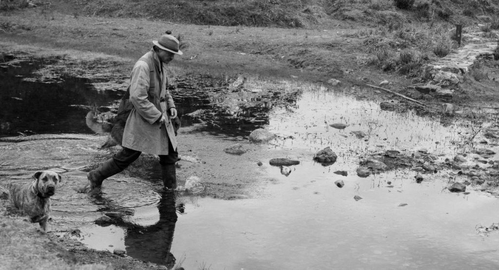 The Disappearance of Josef Mengele