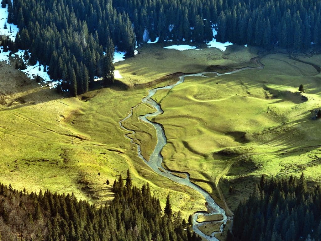 Hegyizene – Muzica Apusenilor
