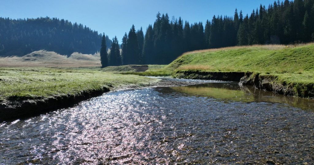 Hegyizene – Muzica Apusenilor