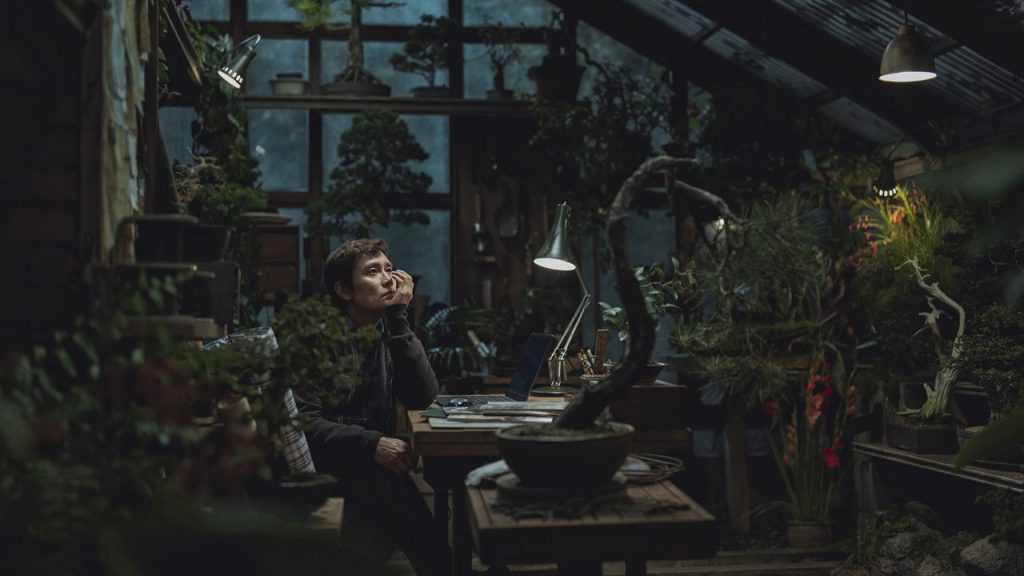 Nincs más választás