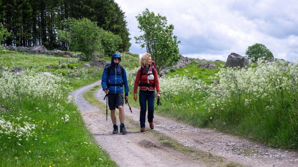 El Camino – Találd meg az utad
